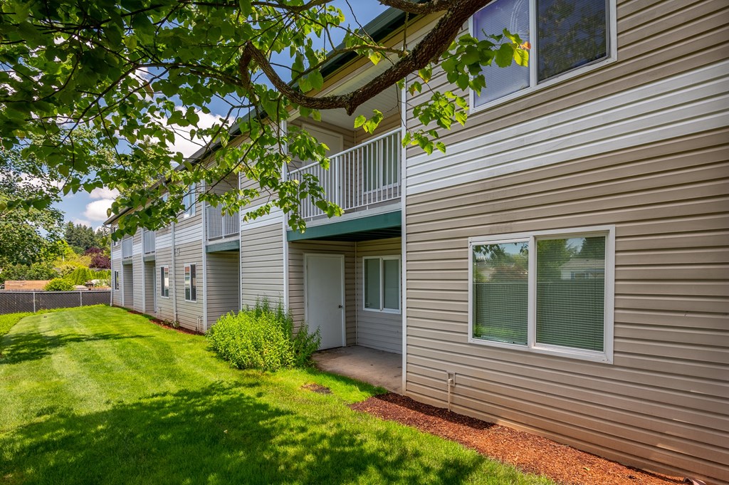 our apartments have a spacious yard with green grass and trees