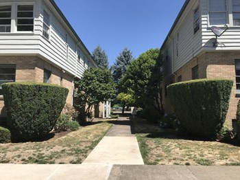 19 New Apartments for rent salem oregon under 600 for Near Me