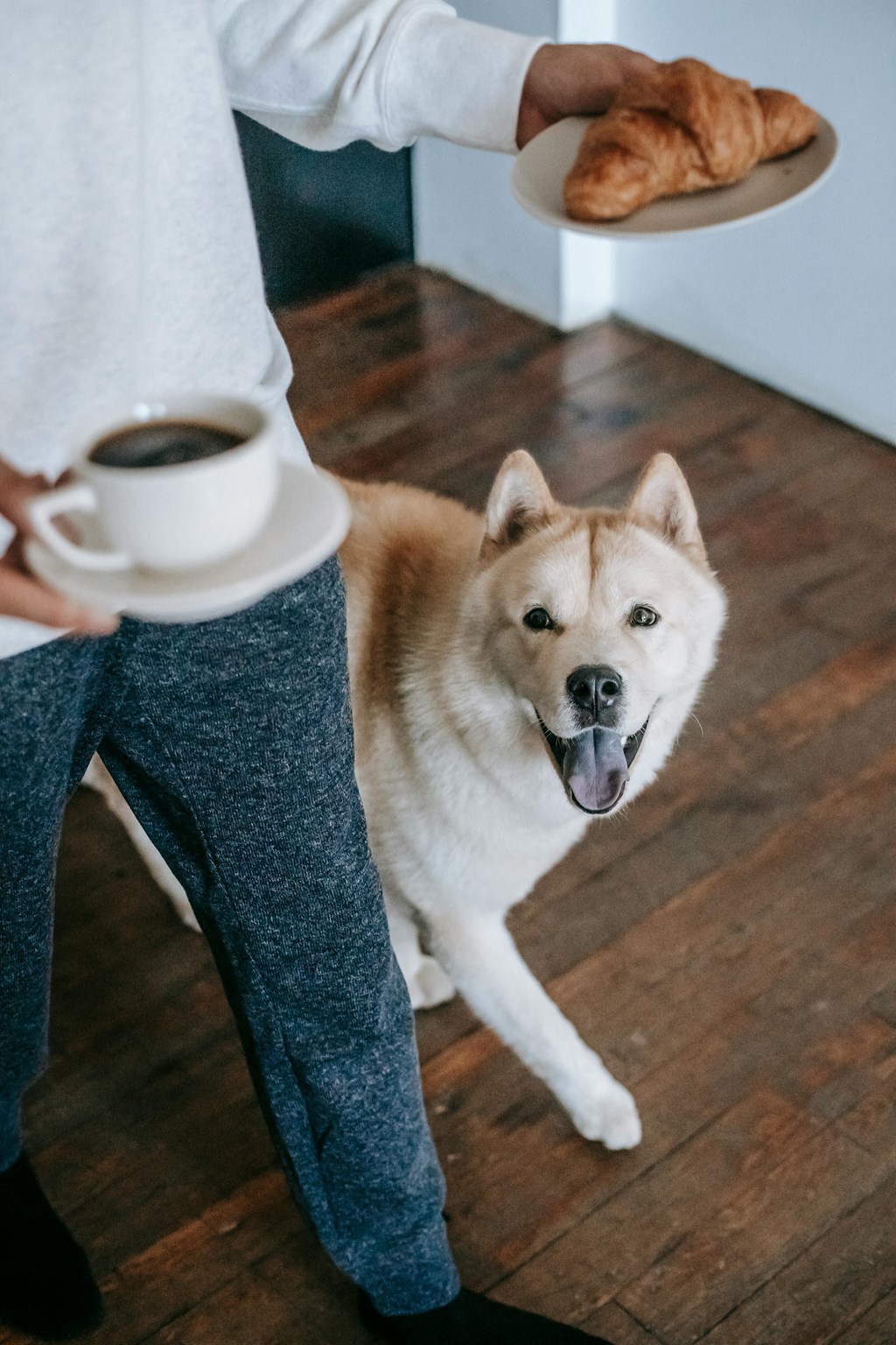 1840 Garden | Pet Friendly