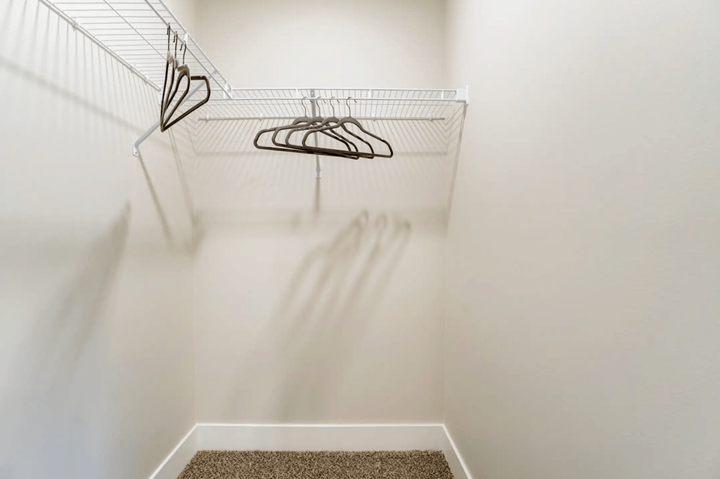 A white closet with a hanger and a carpet.