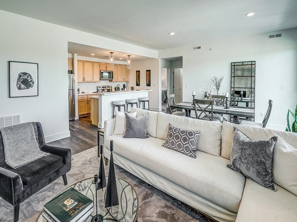 a collage of pictures of a cat and a dog