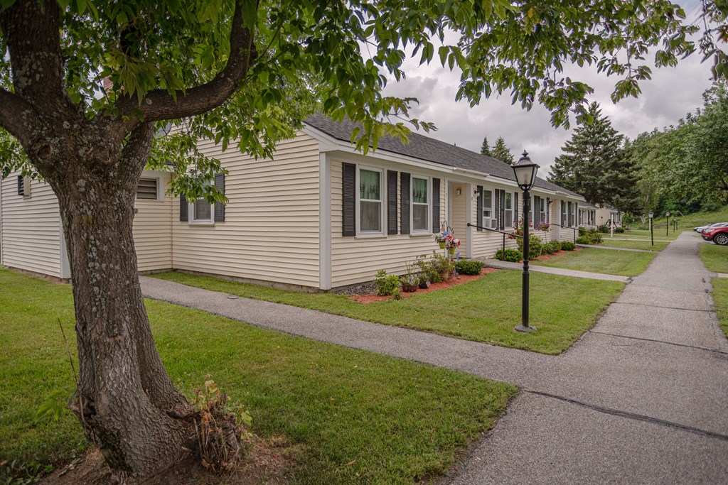 a row of houses in a neighborhood with trees and a sidewalk
