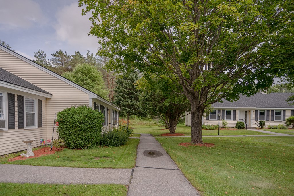 a walkway between two houses with trees and a sidewalk