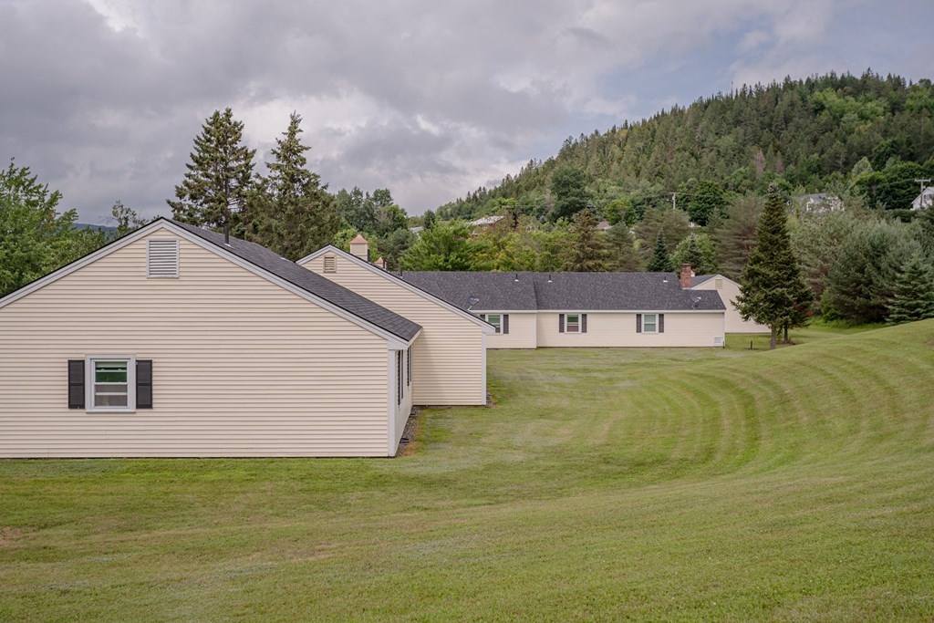a group of houses in a field with a mountain in the background