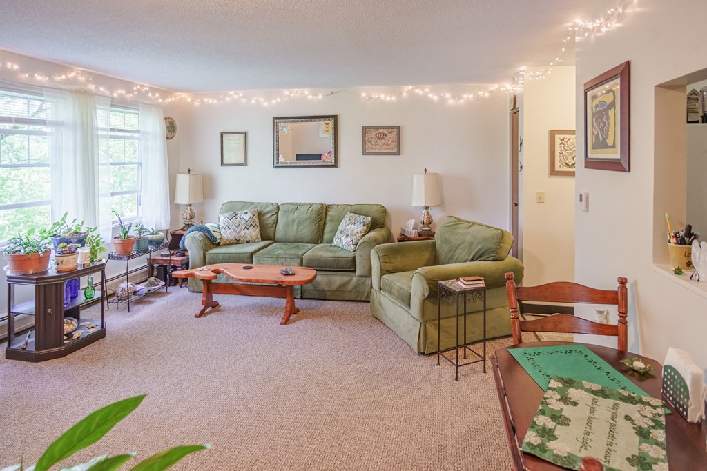 the living room is decorated with christmas lights and a green couch