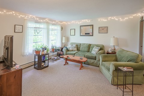 the living room is decorated with christmas lights and a green couch