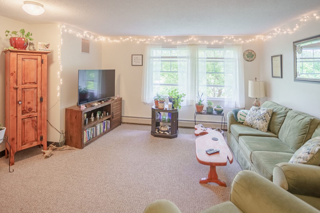 the living room is decorated with christmas lights and has a couch and a tv