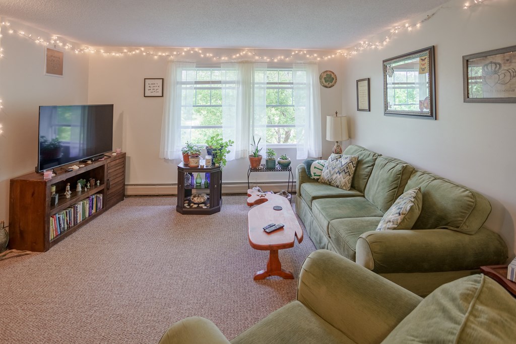 a living room with couches and a television