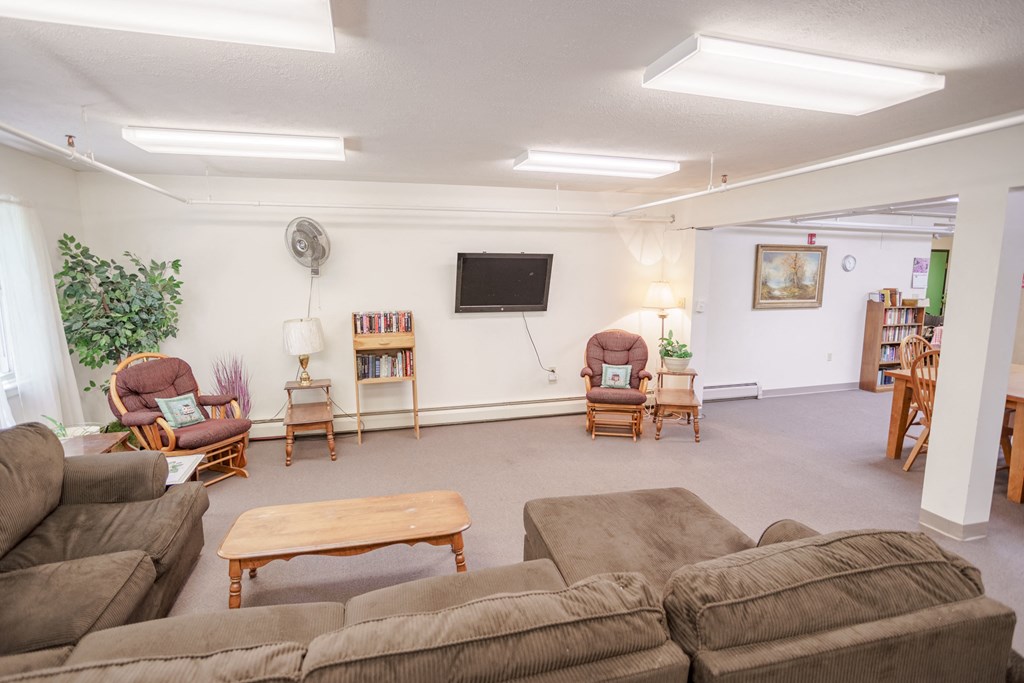 a living room with couches and chairs and a television