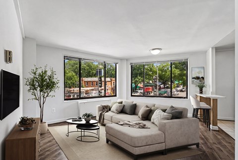 A living room with a couch, a coffee table, a television, and a plant.