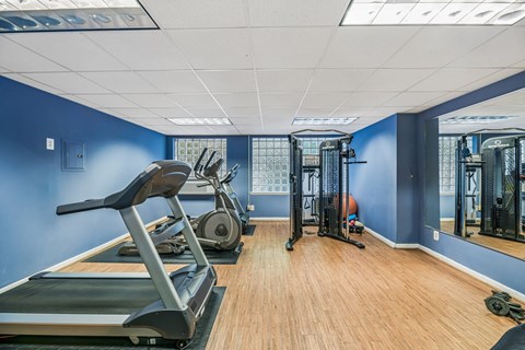 A gym with treadmills, weights, and mirrors.