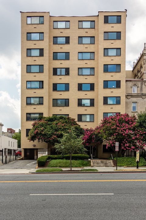 A tall building with many windows is in front of a building with a tree in front of it.