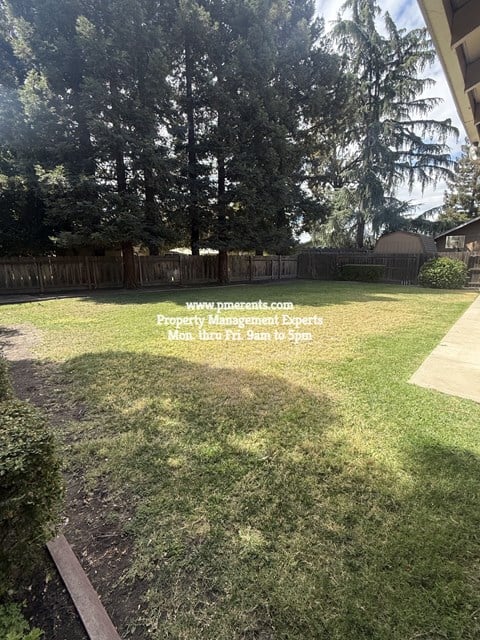 A backyard with a fence and trees.