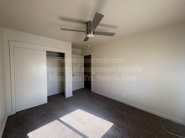 A room with a ceiling fan and carpeted floor.