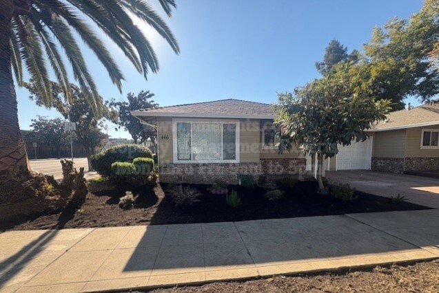 A house with a brown roof and a white garage door is surrounded by a well-maintained garden.