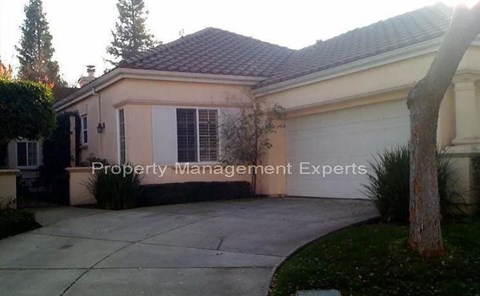 A house with a driveway and a tree in front of it.