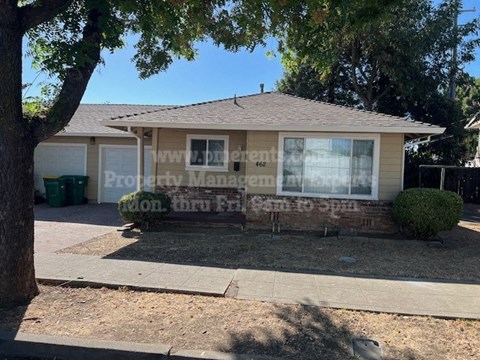 a small house with a tree in front of it