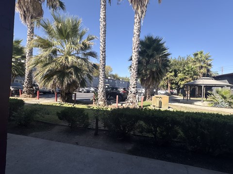 A view of a street with palm trees and a building in the background.