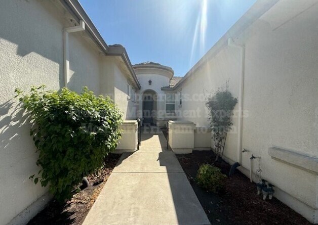 A sunny day at a residential area with a pathway leading to a house.
