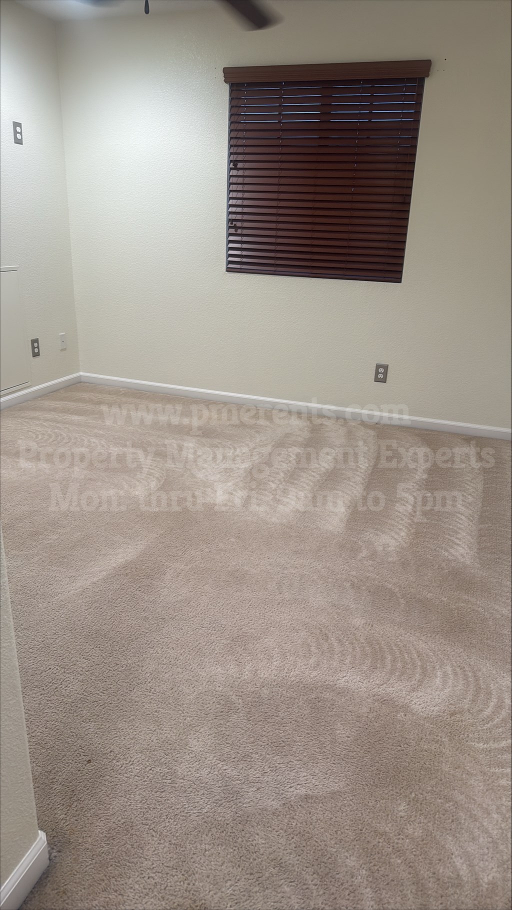 A room with a carpet and a window with blinds.