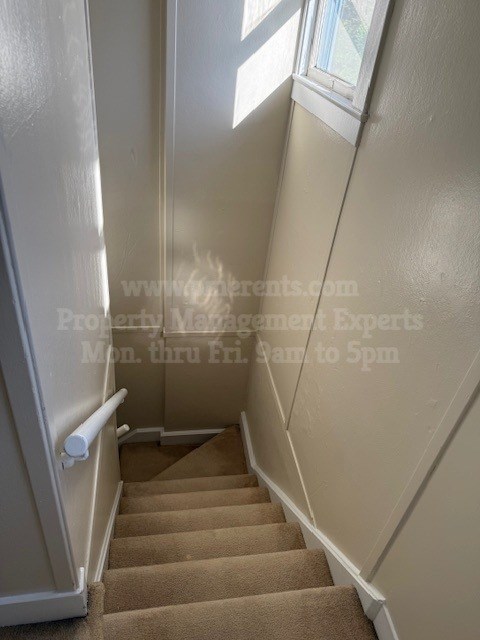 A staircase with a carpeted runner and a white handrail.