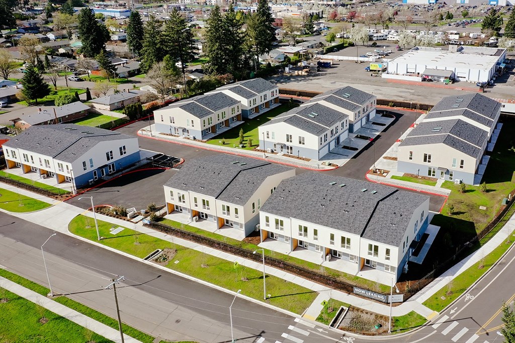 an aerial view of a group of houses in a neighborhood