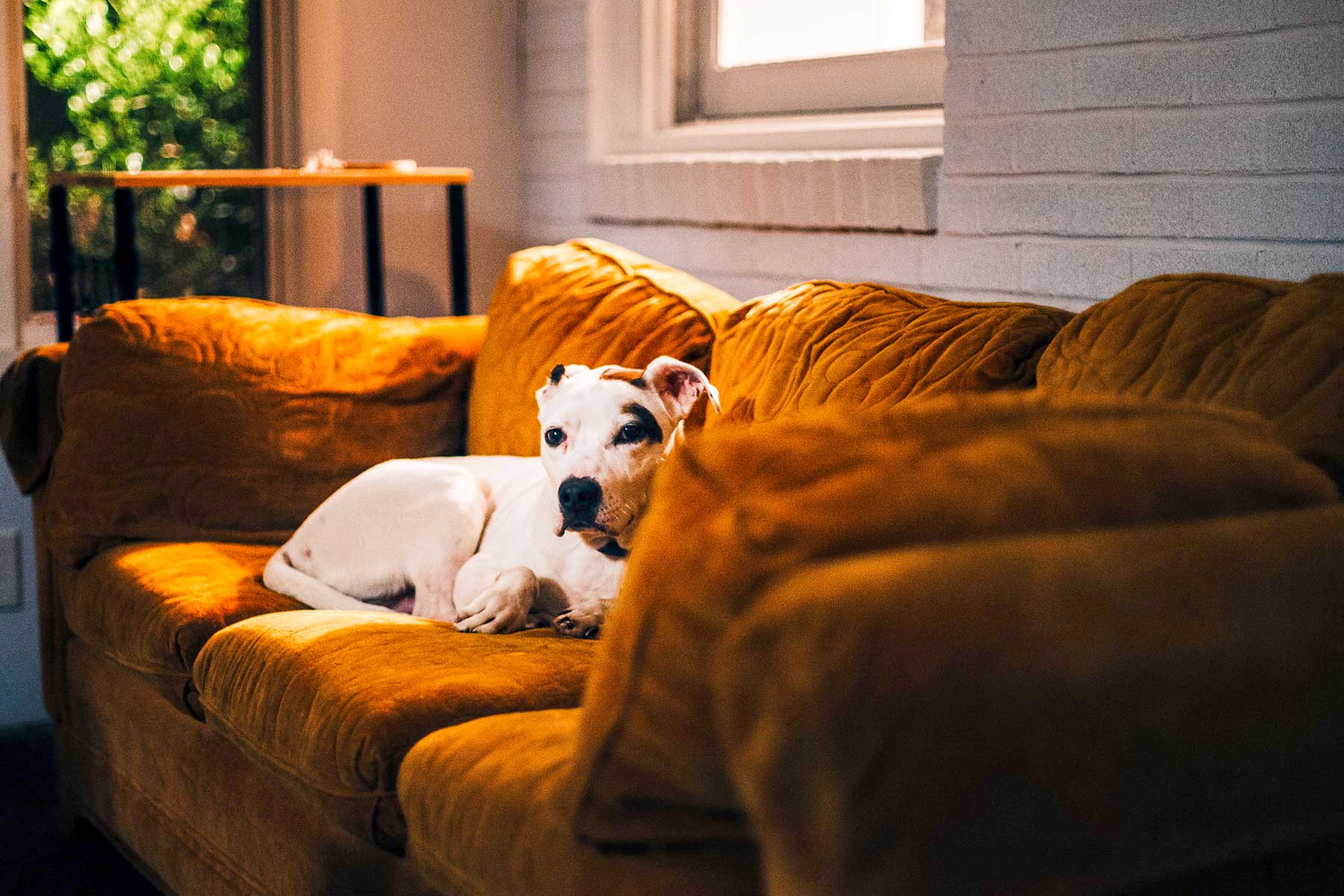 The Jefferson Apartments is a similar property to Summerfield Rental Homes located in Vancouver