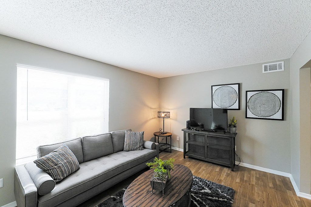 a living room with a couch and a tv at Cedar Run Apartments, Memphis, TN