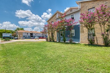 Studio Apartments for Rent in San Antonio, TX: from $635 | RENTCafé