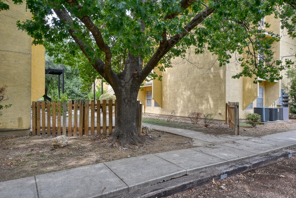 Exterior Landscape at Mayfield Gardens, San Antonio, 78211