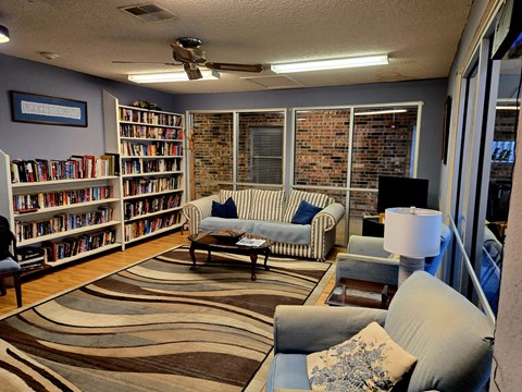 A living room with a couch, a rug, a bookcase, and a fan.