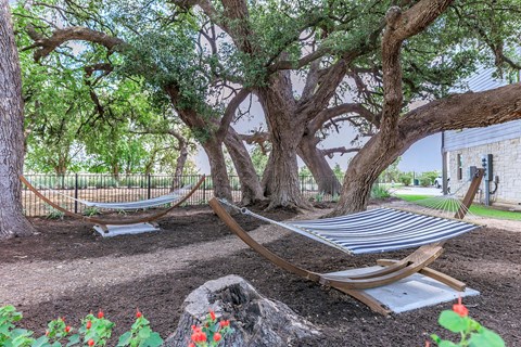 A hammock is strung between two trees in a backyard.