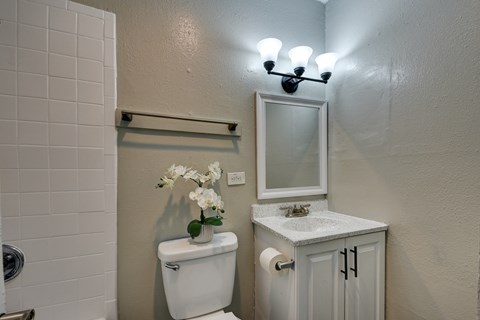a small bathroom with a toilet and a sink and a mirror at The Crossings at Montrose Apartments, San Antonio, TX, 78223