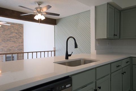 A kitchen with a stainless steel sink and green cabinets.