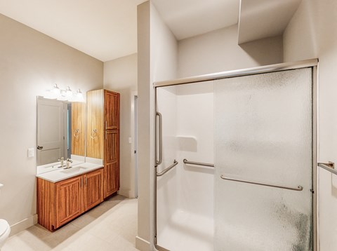 A bathroom with a walk in shower and a vanity with a mirror.