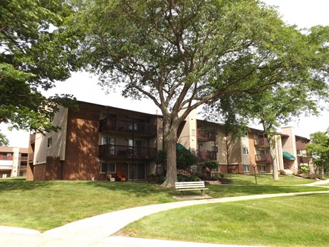 A tree in front of a building with a bench in front of it.