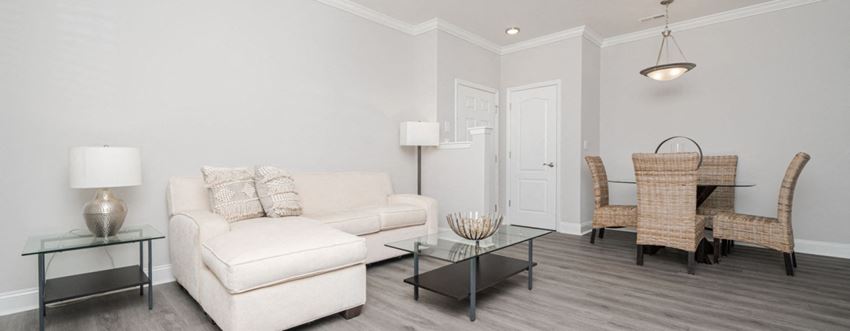 Large Living Room Space Brentmoor Apartment Homes in Raleigh/Durham offer a variety of signature floor plans, first-class amenities, and in-demand locations, convenient to schools, restaurants and major expressways. Take a tour of our model apartment available now in some of the Triangle's most popular areas, including Raleigh, Durham, Apex, Hillsborough, Holly Springs, Rolesville and Wake Forest. - Photo Gallery