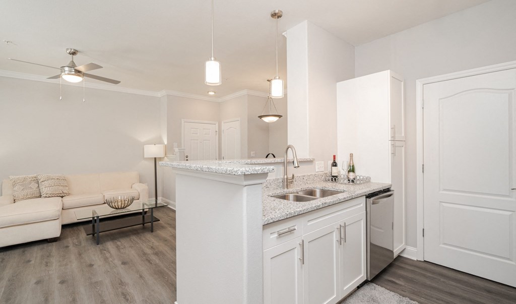 Brentmoor Apartment Homes in Raleigh/Durham offer a variety of signature floor plans, first-class amenities, and in-demand locations, convenient to schools, restaurants and major expressways. Take a tour of our model apartment available now in some of the Triangle's most popular areas, including Raleigh, Durham, Apex, Hillsborough, Holly Springs, Rolesville and Wake Forest.