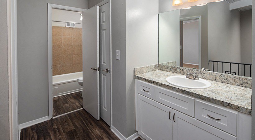 a bathroom with a sink and a mirror
