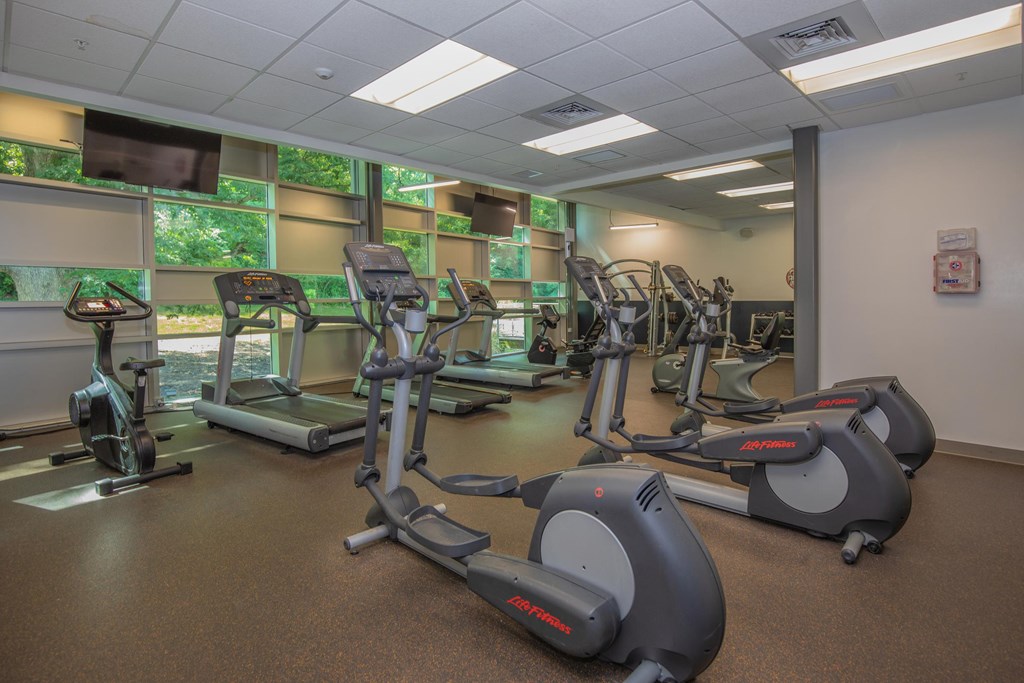 A gym with treadmills and elliptical machines.