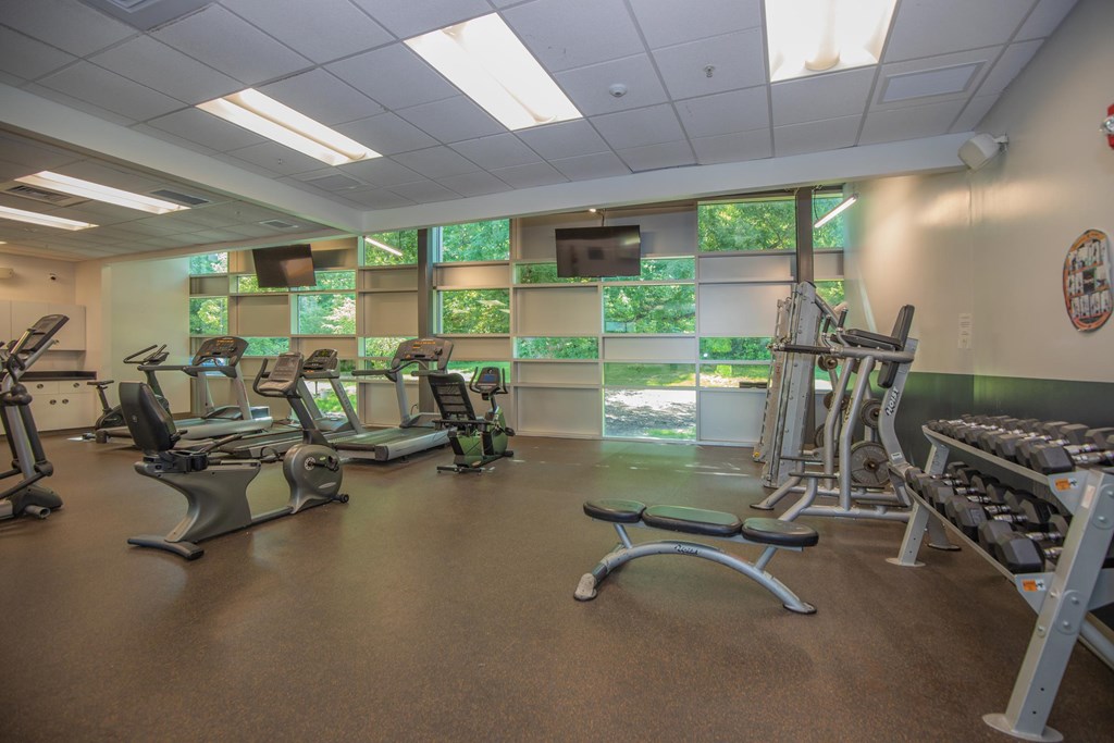 A gym with treadmills, exercise bikes, and weightlifting equipment.