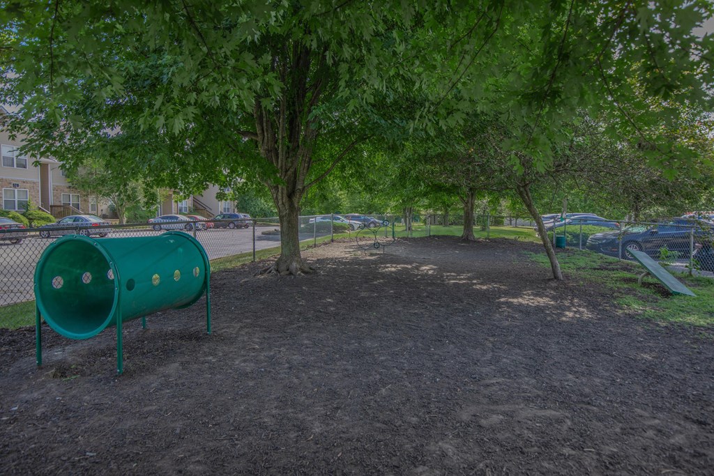 A green park bench sits under a tree in a park.