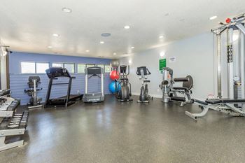 A gym with a variety of equipment including a treadmill, weights, and a stationary bike.