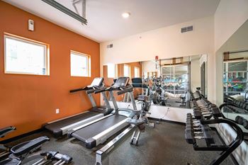 A gym with treadmills, elliptical machines, and weights.