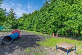 A blue barrel and a red barrel are placed on the ground.