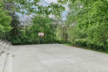 A basketball court surrounded by green trees and bushes.