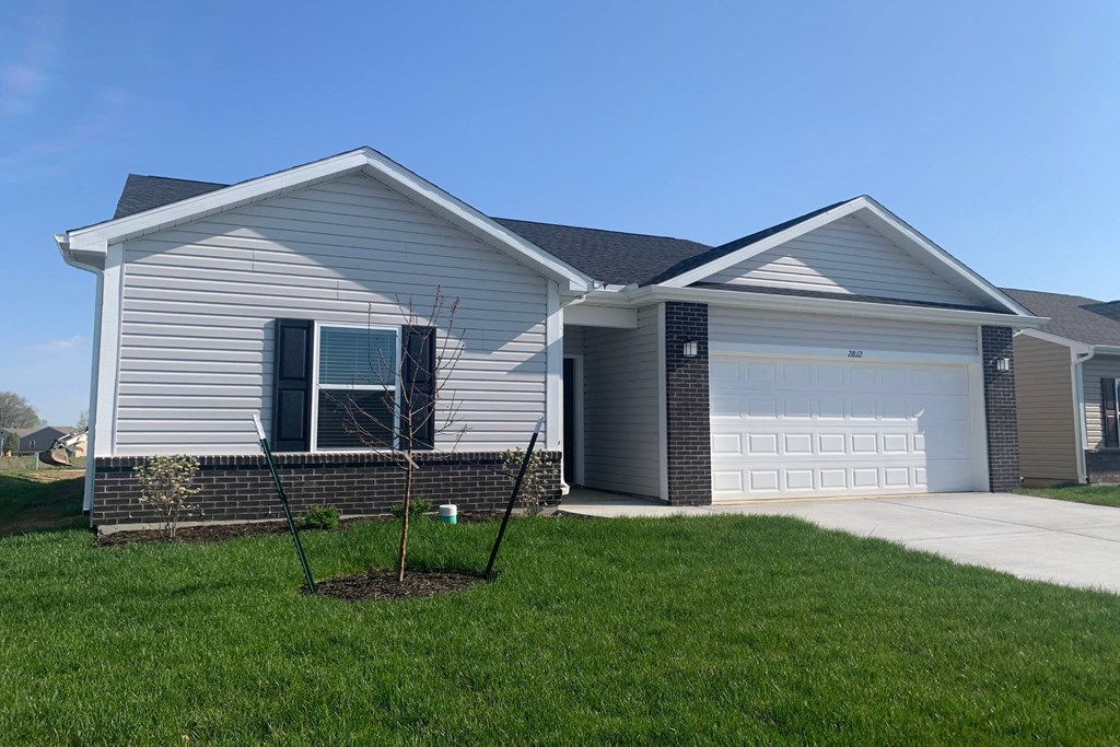 a house with a tree in the front yard