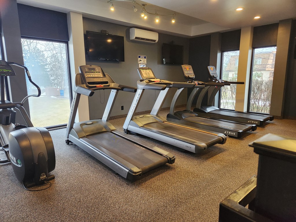 The Spot Treadmills