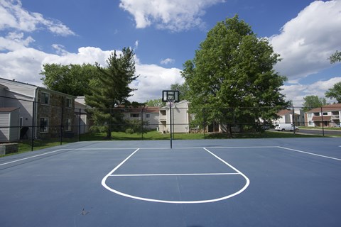 A basketball court with a hoop in the middle of it.
