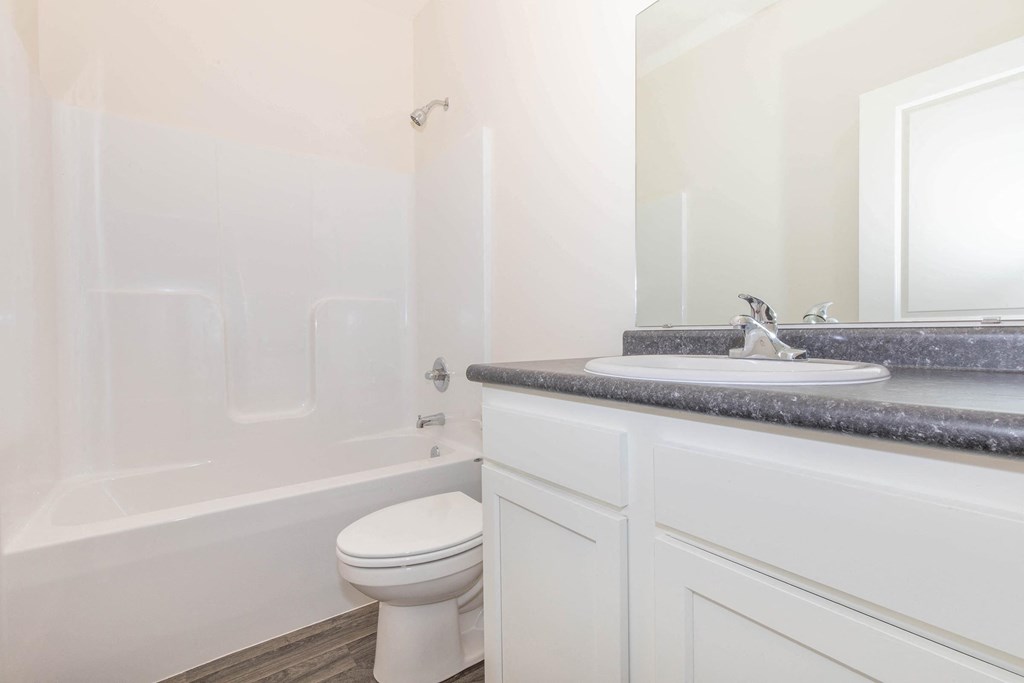 a bathroom with a sink toilet and bathtub